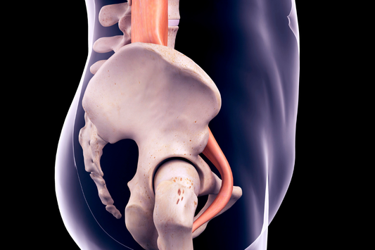 Unpopular Opinion: The Psoas